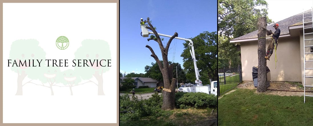 Tree Removal